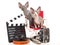 2 Sphynx kittens with movie props