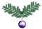 2 staggered pine branches with a hanging purple Christmas bauble