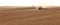 2 tractors pulling planting implements in an Idaho farm field.