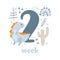 2 two week Baby boy anniversary card newborn metrics. Baby shower print with cute animal dino, flowers and palm