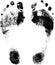 2 Vector Footprints