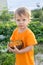 2 years old child eating fresh sea buckthorn berries outdoors in summer in countryside. Happy summer vacation in countryside