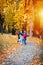 2 years old toddler have fun outdoor in autumn yellow park