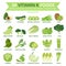 20 vitamin k foods, info graphic, food vector