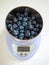 200 grams of ripe pure blueberries in a metal bowl of electronic scales