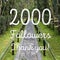 2000 followers