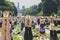 Almost 2000 people take a free collective yoga class in a city park in Milan, Italy