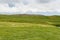 2007, Iceland, Sheeps on a large green field in the wild