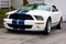 2009 Ford Shelby Cobra GT 500