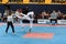 2009 Italian Taekwondo Championships