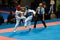 2009 Italian Taekwondo Championships