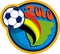 2010 soccer world cup soccer ball