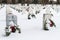 2012 Wreaths Across America