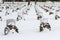 2012 Wreaths Across America