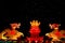 2013 chinese lantern festival in xi\'an-CHINA DRAGON