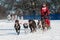 2014 Subaru Dogsled Loppet - Duke Rembleski