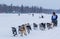 2015 Iditarod Dog Team
