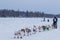 2015 Iditarod Dog Team