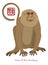 2016 Chinese New Year of the Monkey Color Illustration