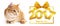 2017 golden happy new year text and ginger cat on white background