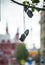 2017 - OCTOBER 7, Russia Moscow: sneakers hanging on a tree