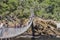 2017 storms river mouth suspension bridge tsitsikamma