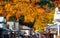 2018 April, 5 - Otago, New Zealand, Arrowtown in autumn with colorful trees. I