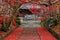 2018 December 05. KYOTO JAPAN. A entrance stair of Bishamon do temple which covered by fallen red maple on autumn season