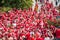The 2018 FIFA World Cup. Crowd of Danish fans in red t-shirts drink beer on Manezhnaya square