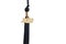 2018 Graduation Tassel