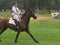 2018 world Equestrian games - eventing cross country day rider in galloping lane