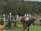 2018 world Equestrian games - eventing cross country day water complex New Zealand rider