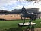 2018 world Equestrian games - US Trust arena setup for dressage with horse statue