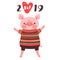 2019 Happy New Year card design. Symbol of the Chinese calendar cute pig greets with love. Piglet in a knitted sweater