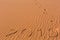 2019 inscription written on golden wavy beach sand dunes with fo