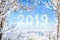 2019 new year. Snow inscription on winter nature background