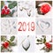 2019, snow and winter red and white nature