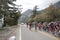 2019 Tour of California - Mount Baldy