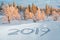 2019 written in the snow, snowy trees winter landscape in the background