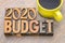 2020 budget concept in wood type