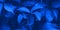 2020 Classic blue foliage botanical banner