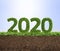 2020 green ecology year concept