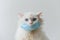 2020 new ragdoll cat wear face mask, Very blue eyes