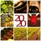 2020 red wine square photos collage greeting card