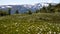 2020A beautiful shot of greenery-covered hills and mountains in Norway