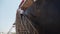 2021-06-09 Mariupol, Ukraine. Ukrtransagro LLC. Shipping agent walks down from bulker ship and inspects loading at sea