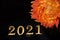 2021 lettering lined with metal numbers on a dark background next to a beautiful red dahlia flower