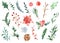 2021 watercolor Christmas set with branches of spruce, pine, holly, holly berries, cone, leaves, holly flower