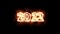 2022 Fire Flames Animation Motion Graphic. Burning New Year 2022 Video