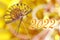 2022 golden numbers and a japanese traditional golden fan ornaments asian new year card